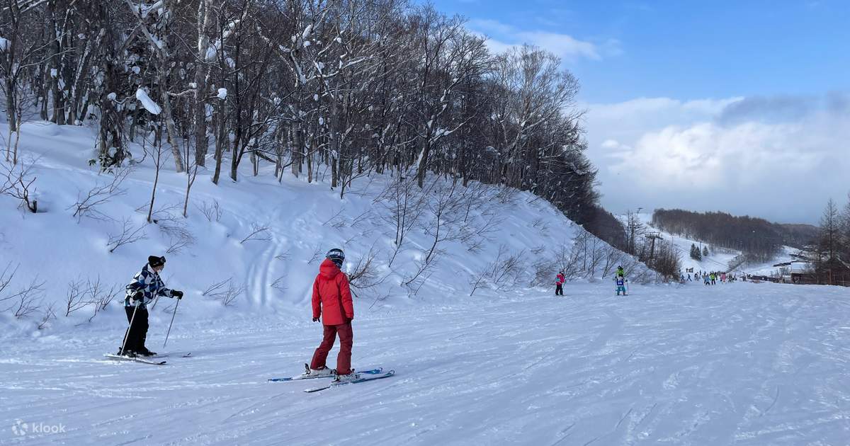 札幌での 1 日手稲プライベート スキー | Klook